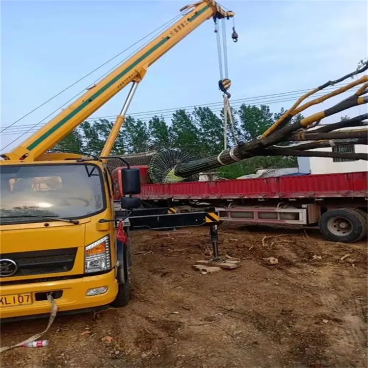 红坪镇100吨吊车租赁费用怎么算？3大关键因素+省钱技巧全解析